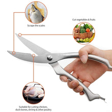 Stainless steel poultry shears with high precision